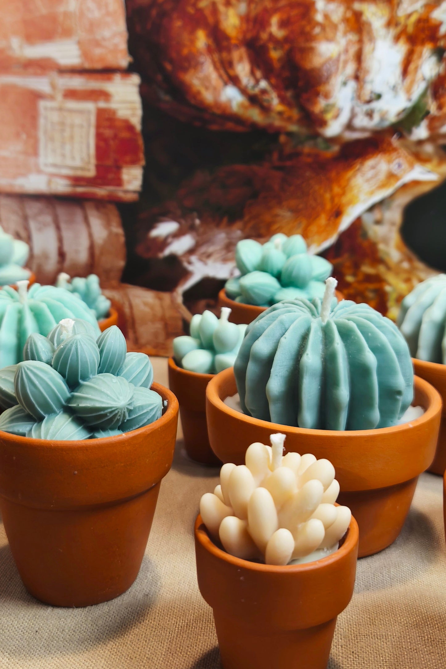 Cactus scented candle collection (3 pieces)
