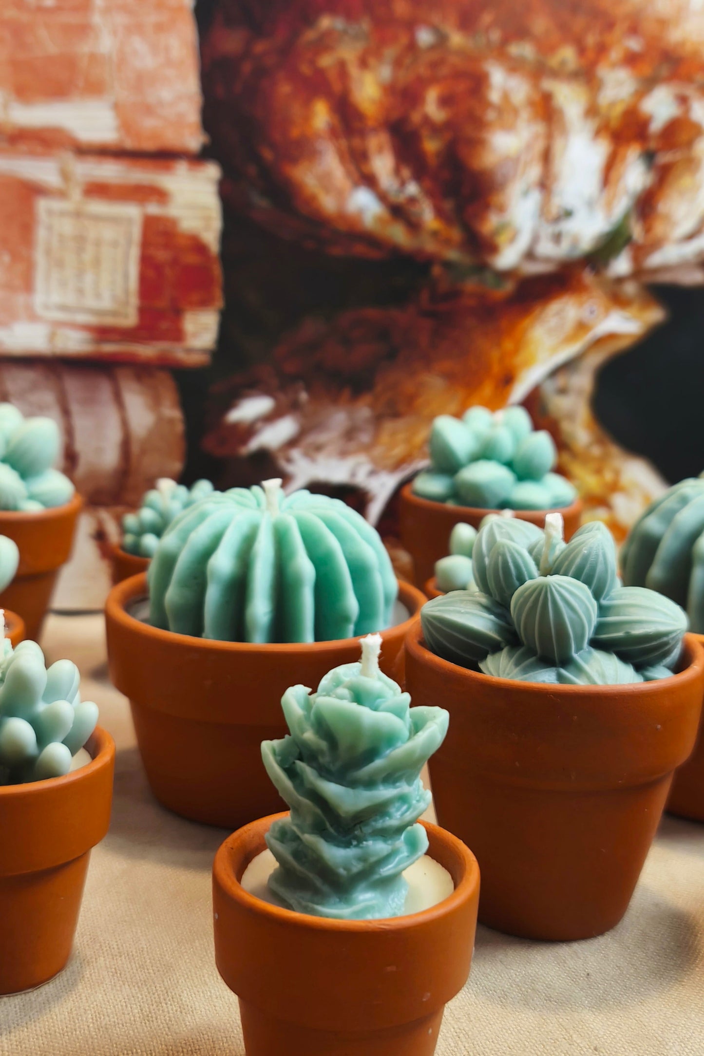 Cactus scented candle collection (3 pieces)