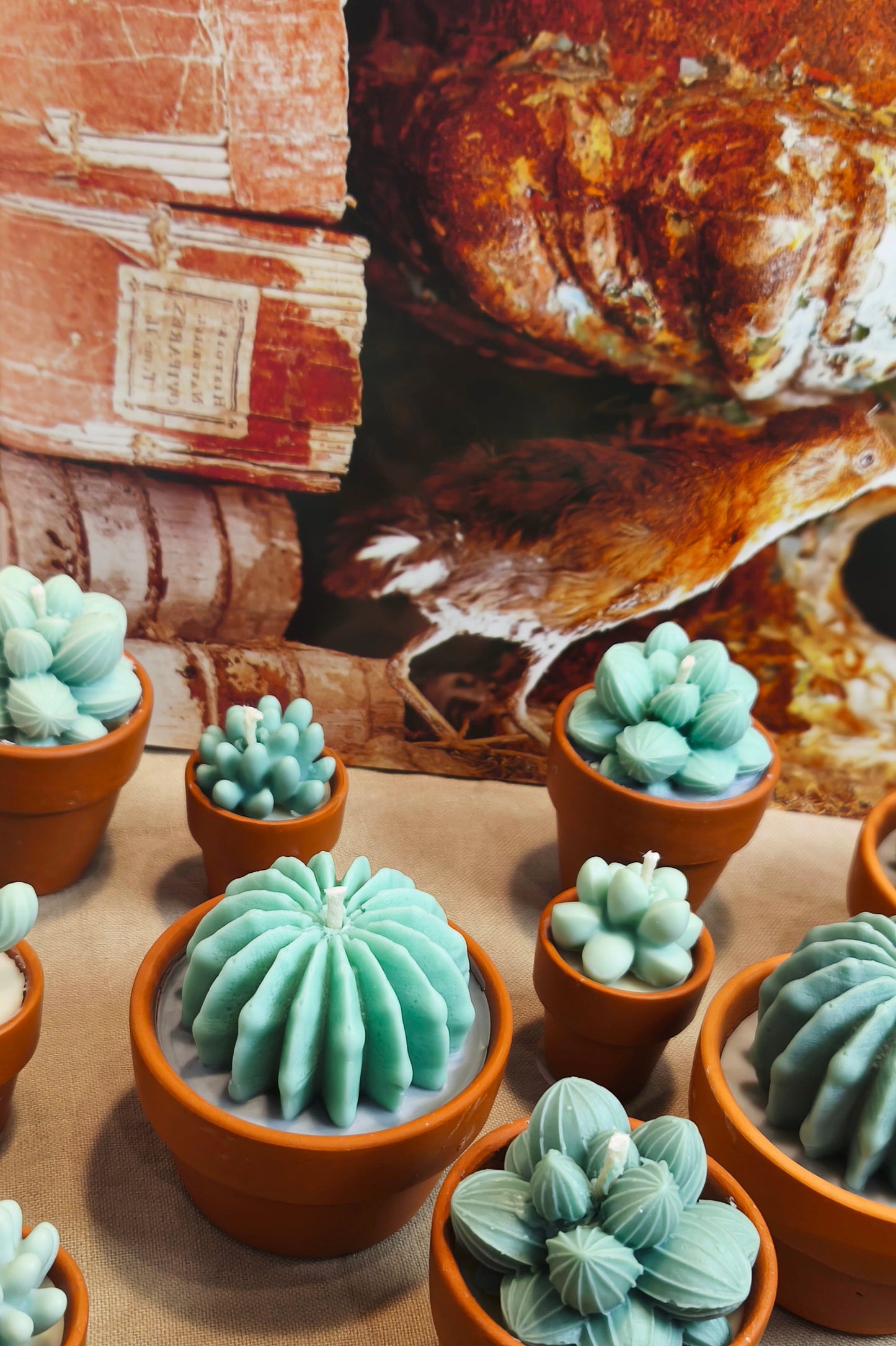 Cactus scented candle collection (3 pieces)