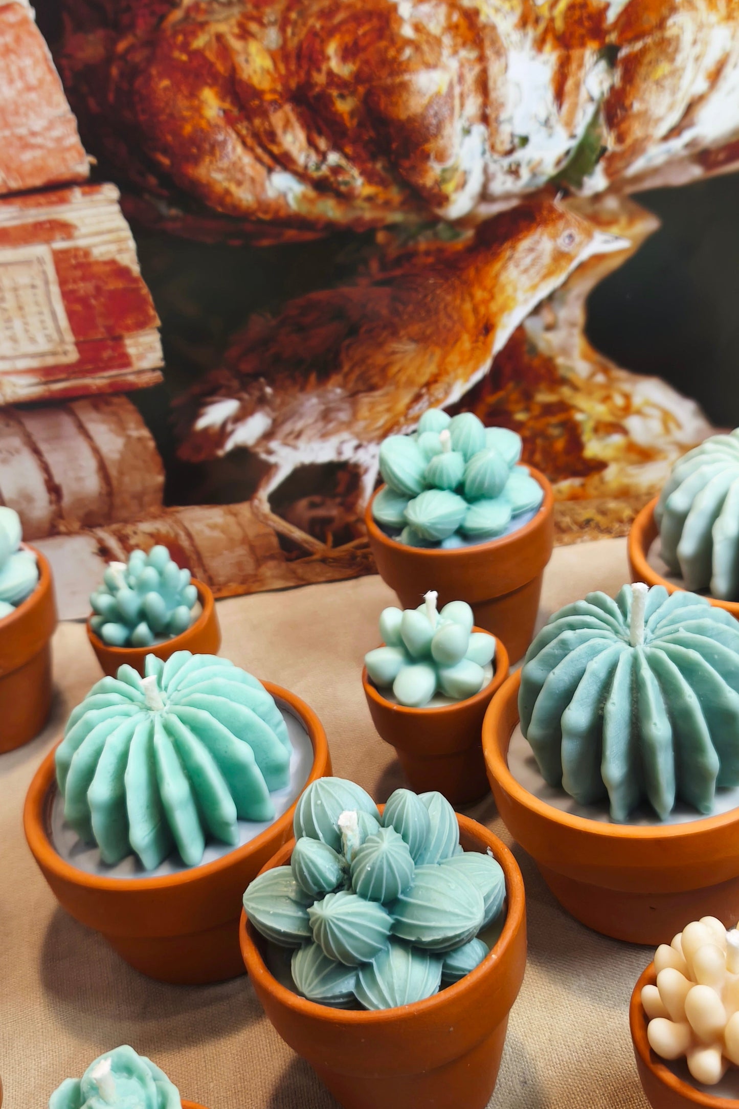 Cactus scented candle collection (3 pieces)
