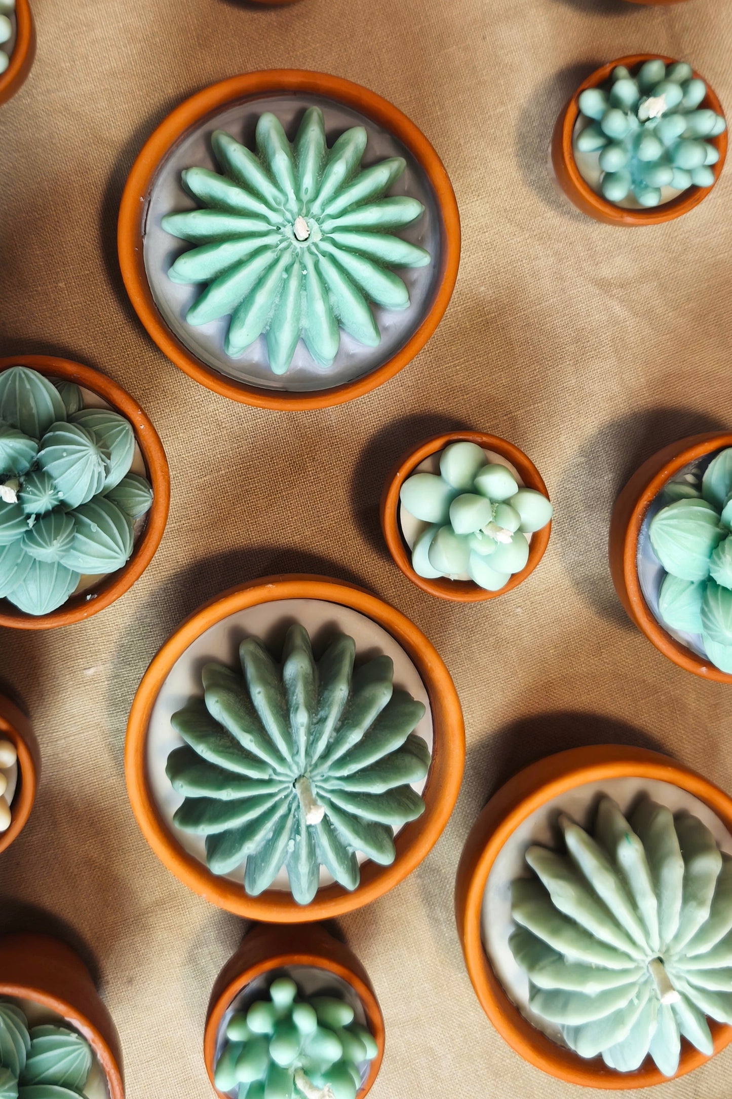 Cactus scented candle collection (3 pieces)