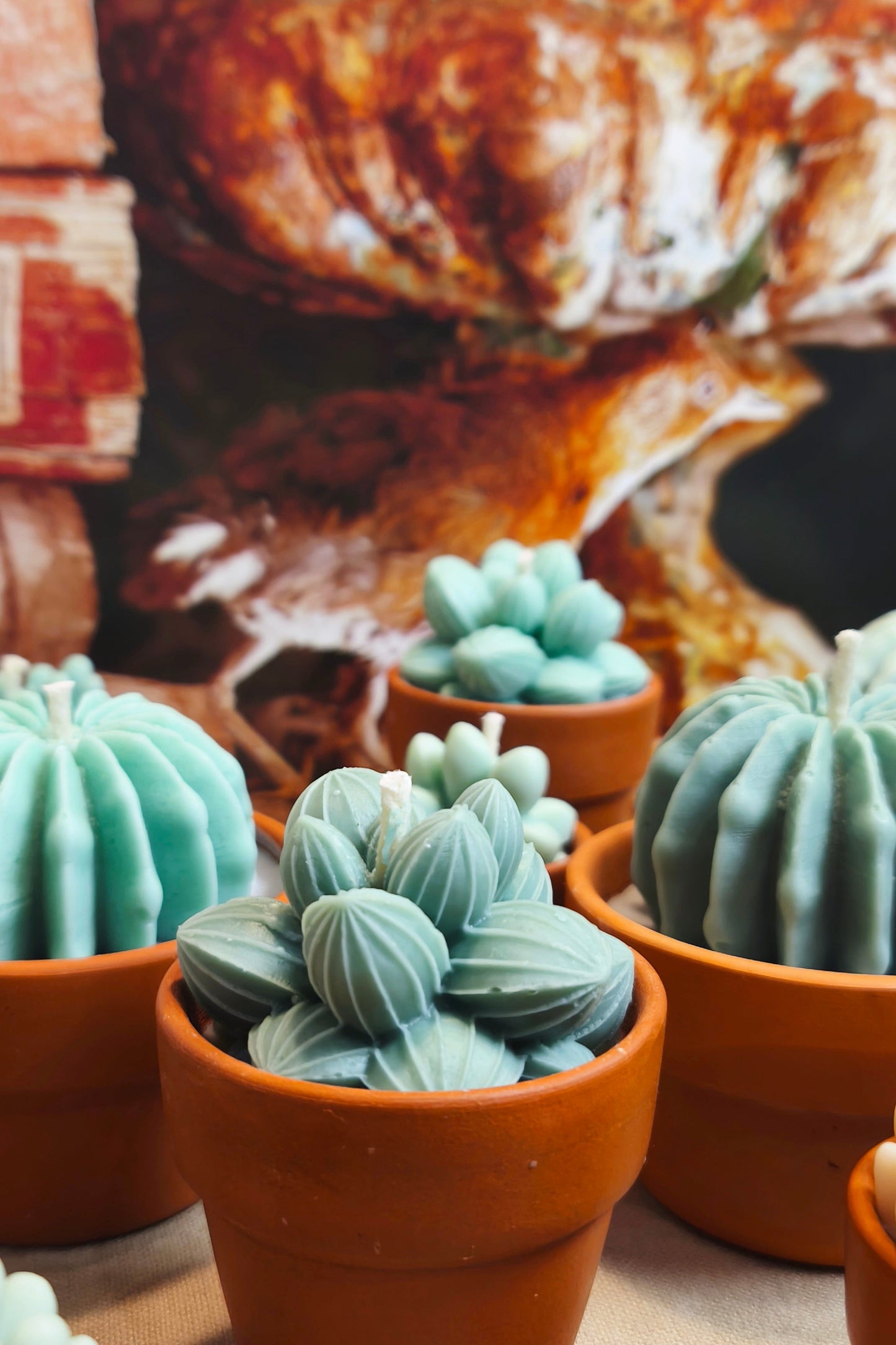 Cactus scented candle collection (3 pieces)