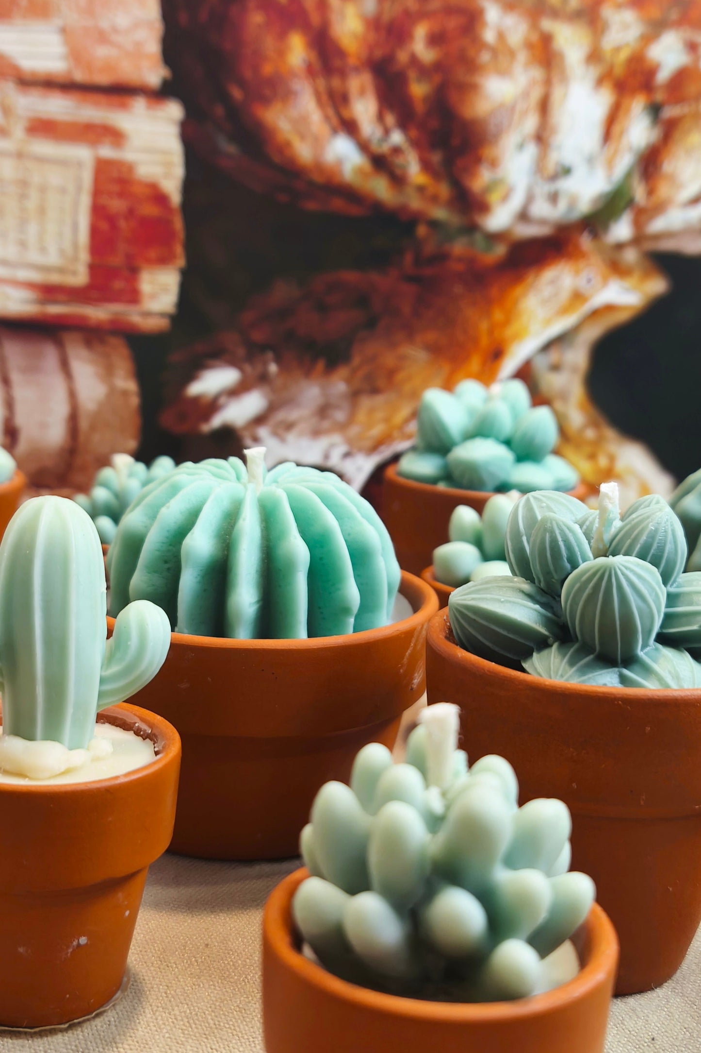 Cactus scented candle collection (3 pieces)
