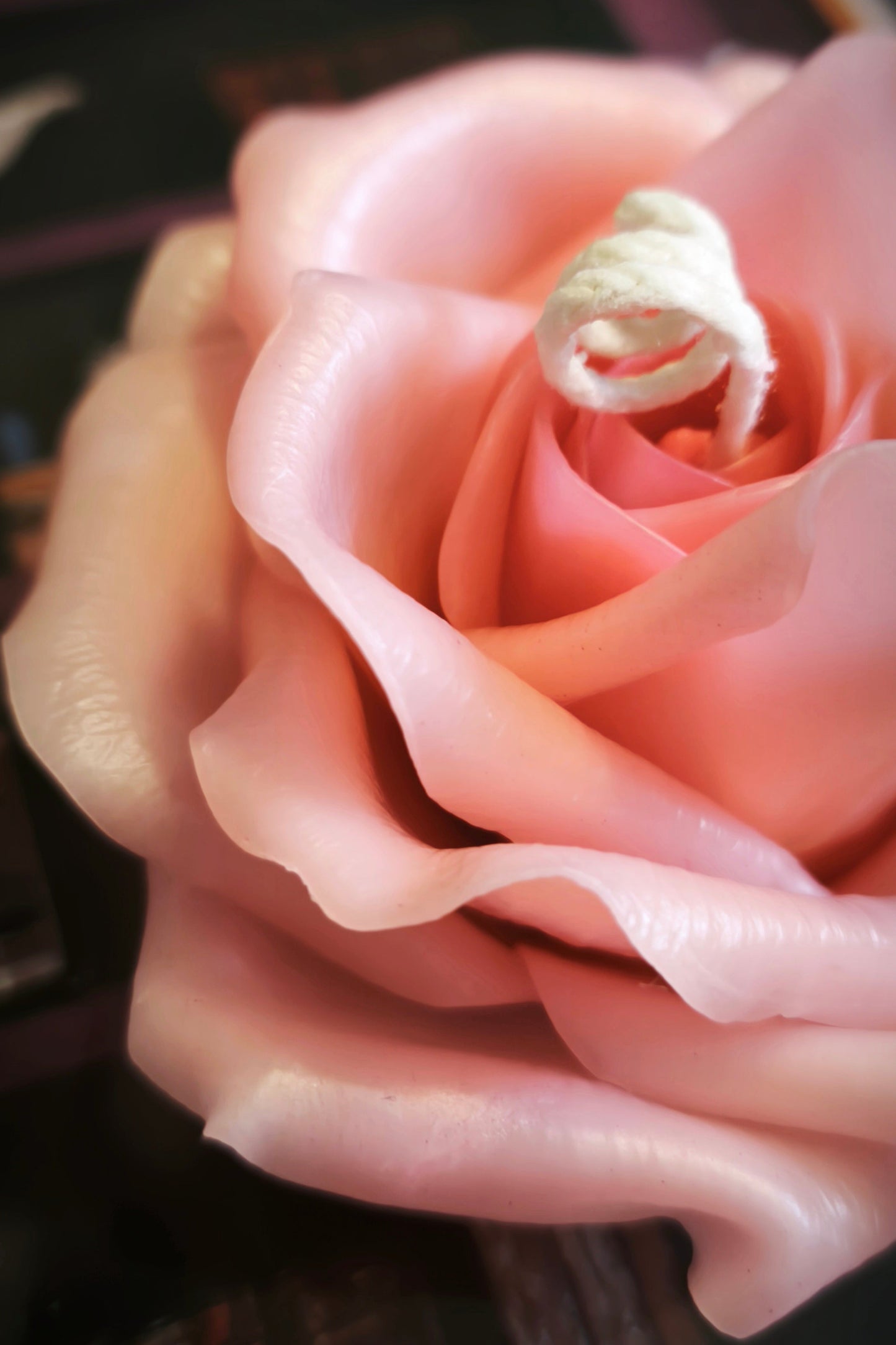 Rose (handmade) scented candle without candle holder